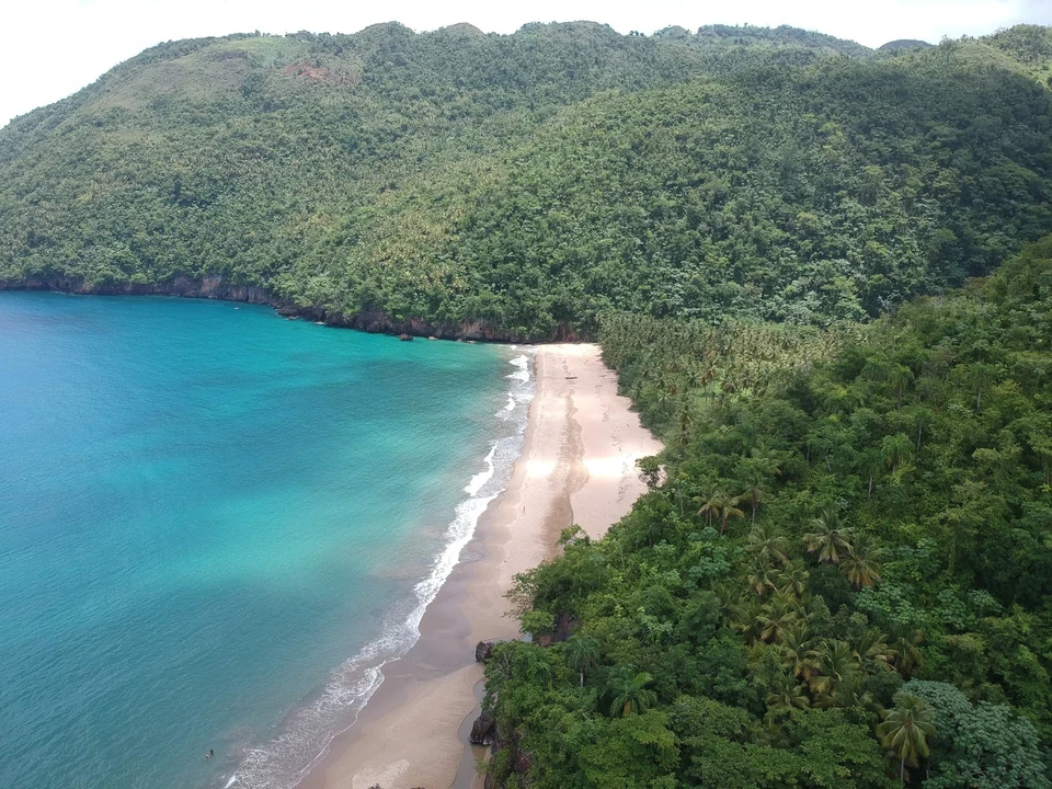 A green Dominican coastline meeting the Caribbean Sea